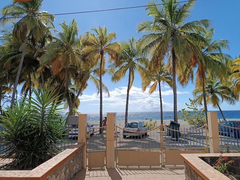 Apartamento Votre Bungalow "Petit Tresor" Vintage 80 Le Carbet Exterior foto